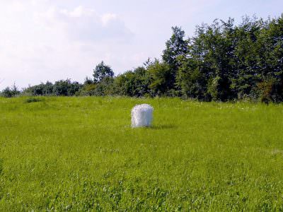 PASSAGE erntedank, 2005, Kunst in der Natur Wachtberg, Gips, Bast, 120 x 95 cm