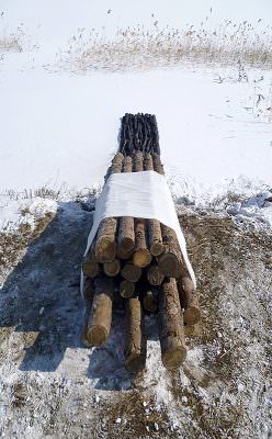 Time in Progress 2012, Wood (Logs), Charcoal, Cotton, 90 x 90 x 700 cm