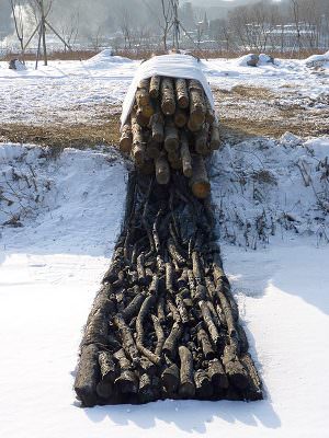 Time in Progress 2012, Wood (Logs), Charcoal, Cotton, 90 x 90 x 700 cm