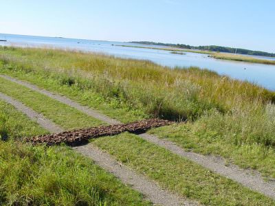 Keep Going, 130 m rindenmulch durch Wasser und Land