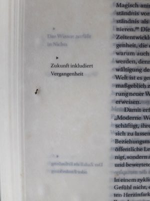 Gerlinde Thuma  und Andreas J. Obrecht
Eine Wissen-Wellen-Skulptur: Wozu wir gewußt haben werden
Symposium Wachtberg 2020